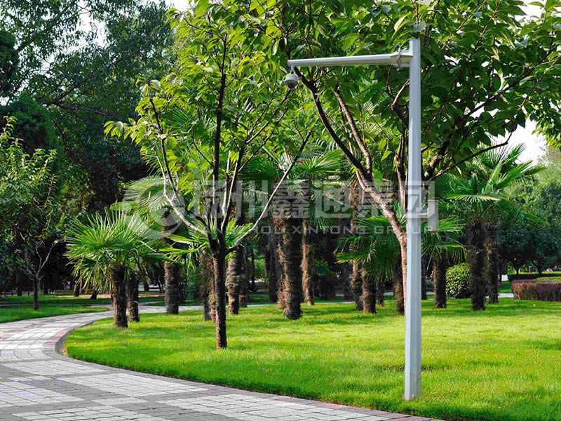 DJG-022，電子警察桿，八棱懸臂球機(jī)桿