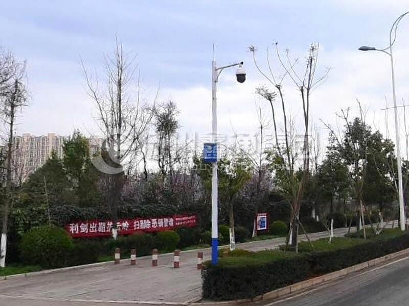 DJG-025，電子警察桿，治安監(jiān)控桿