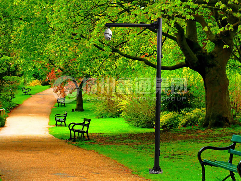 DJG-026，電子監(jiān)控桿，公園監(jiān)控桿